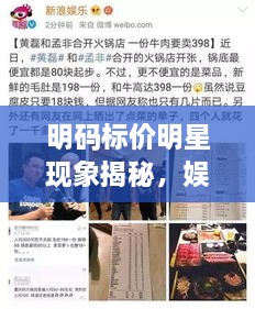 明碼標價明星現(xiàn)象揭秘，娛樂圈的新挑戰(zhàn)與觀察