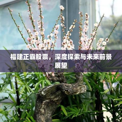 2025年4月13日