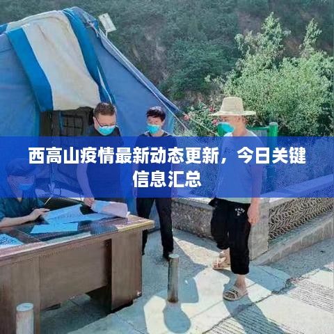 西高山疫情最新動態(tài)更新，今日關(guān)鍵信息匯總