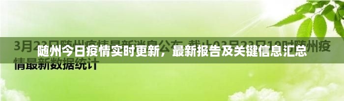 隨州今日疫情實(shí)時更新，最新報告及關(guān)鍵信息匯總
