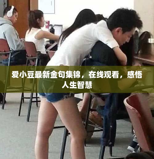 愛小豆最新金句集錦，在線觀看，感悟人生智慧
