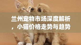 蘭州寵物市場深度解析，小貓價格走勢與趨勢探尋
