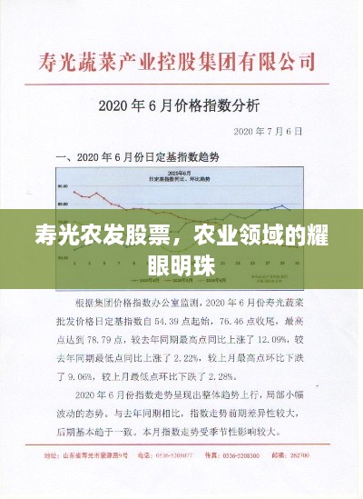 壽光農(nóng)發(fā)股票，農(nóng)業(yè)領(lǐng)域的耀眼明珠