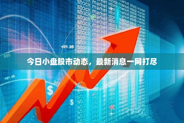 今日小盤股市動(dòng)態(tài)，最新消息一網(wǎng)打盡