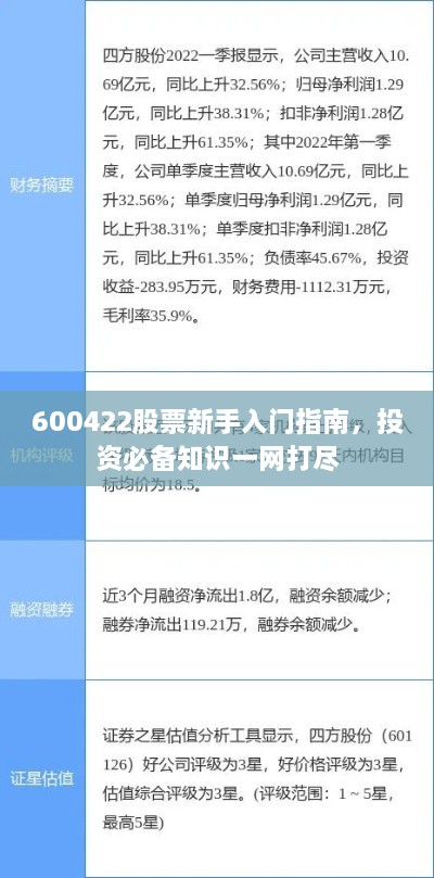 600422股票新手入門指南，投資必備知識(shí)一網(wǎng)打盡