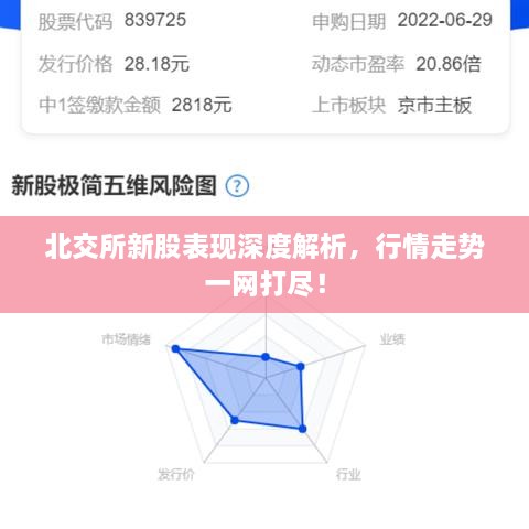 北交所新股表現(xiàn)深度解析，行情走勢一網(wǎng)打盡！