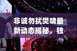 非誠勿擾樊嘯最新動態(tài)揭秘，獨家爆料吸引眼球！