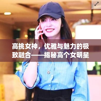 高挑女神，優(yōu)雅與魅力的極致融合——揭秘高個(gè)女明星的魅力風(fēng)采